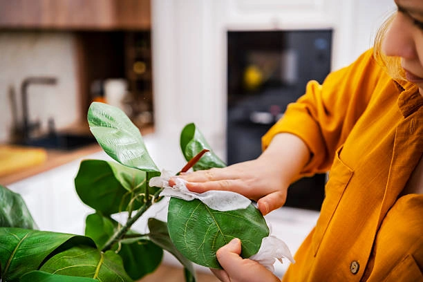 خدمات العمالة المنزلية في صلالة